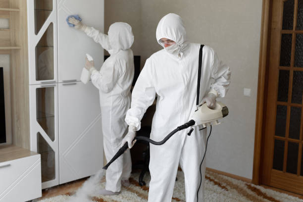 Best Toxic Mold Removal  in Albion, IL