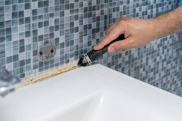 Best Mold Testing  in Albion, IL