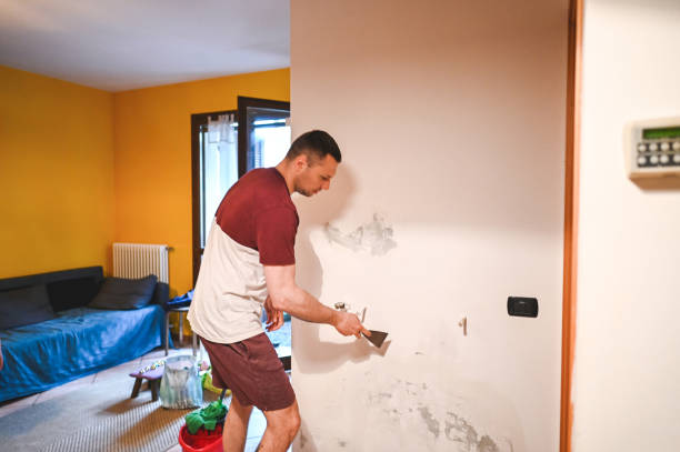 Mold Testing and Removal in Albion, IL
